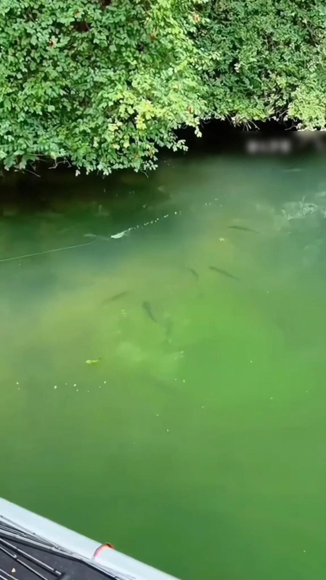 Un toque de tentación