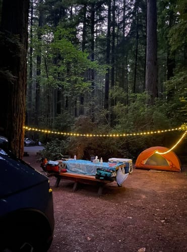 ✨CAMP LIGHT🔥MATE BRILLANTE✨